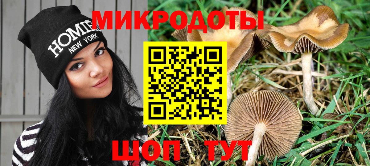Псилоцибиновые грибы Magic Shrooms  Вход с VPN  Нижний Новгород  Галлюциногенные грибы Cubensis 